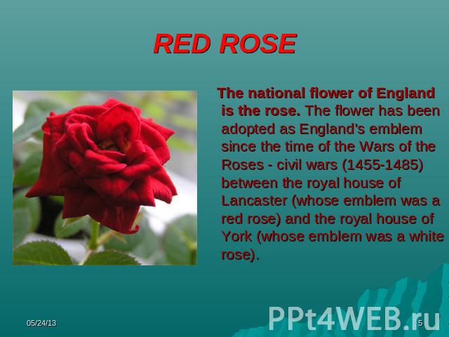 RED ROSE The national flower of England is the rose. The flower has been adopted as England’s emblem since the time of the Wars of the Roses - civil wars (1455-1485) between the royal house of Lancaster (whose emblem was a red rose) and the royal ho…