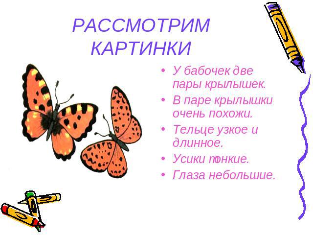 РАССМОТРИМ КАРТИНКИ У бабочек две пары крылышек.В паре крылышки очень похожи.Тельце узкое и длинное.Усики тонкие.Глаза небольшие.