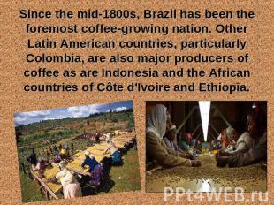 Since the mid-1800s, Brazil has been the foremost coffee-growing nation. Other L