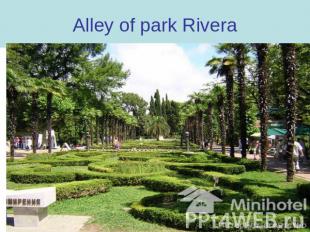 Alley of park Rivera