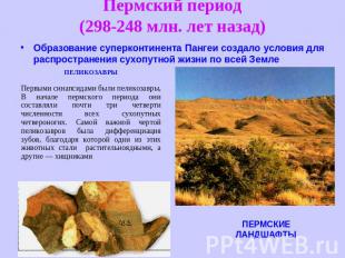 Пермский период(298-248 млн. лет назад) Образование суперконтинента Пангеи созда