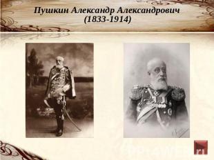 Пушкин Александр Александрович (1833-1914)