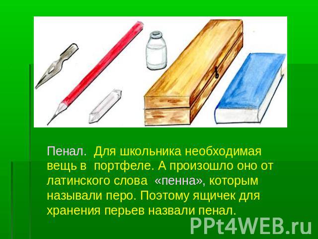 Пенал. Для школьника необходимая вещь в портфеле. А произошло оно от латинского слова «пенна», которым называли перо. Поэтому ящичек для хранения перьев назвали пенал.