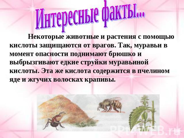 Интересные факты...Некоторые животные и растения с помощью кислоты защищаются от врагов. Так, муравьи в момент опасности поднимают брюшко и выбрызгивают едкие струйки муравьиной кислоты. Эта же кислота содержится в пчелином яде и жгучих волосках крапивы.