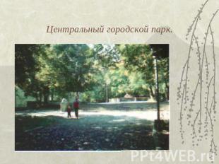 Центральный городской парк.