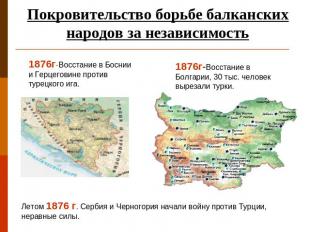 Покровительство борьбе балканских народов за независимость 1876г-Восстание в Бос