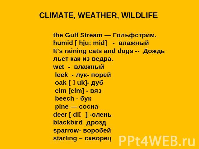 CLIMATE, WEATHER, WILDLIFEthe Gulf Stream — Гольфстрим.humid [ hju: mid] - влажный It’s raining cats and dogs -- Дождь льет как из ведра.wet - влажный leek - лук- порей oak [ әuk]- дуб elm [elm] - вяз beech - бук pine — соснаdeer [ diә ] -оленьblack…