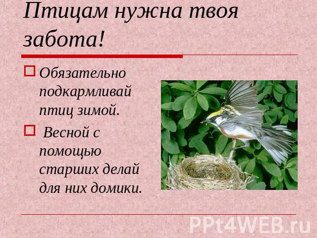 Птицам нужна твоя забота! Обязательно подкармливай птиц зимой. Весной с помощью старших делай для них домики.