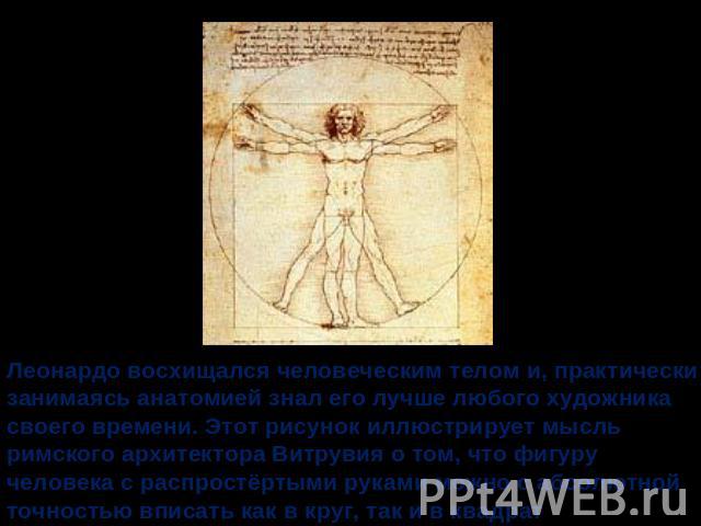 Леонардо восхищался человеческим телом и, практически занимаясь анатомией знал его лучше любого художника своего времени. Этот рисунок иллюстрирует мысль римского архитектора Витрувия о том, что фигуру человека с распростёртыми руками можно с абсолю…