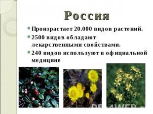 Россия Произрастает 20.000 видов растений.2500 видов обладают лекарственными сво