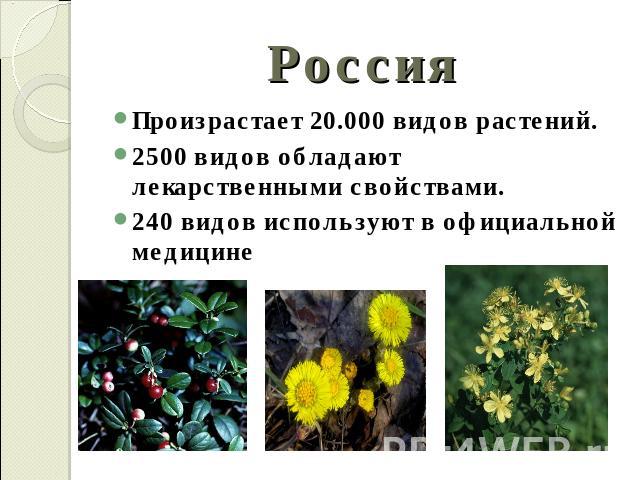Россия Произрастает 20.000 видов растений.2500 видов обладают лекарственными свойствами.240 видов используют в официальной медицине