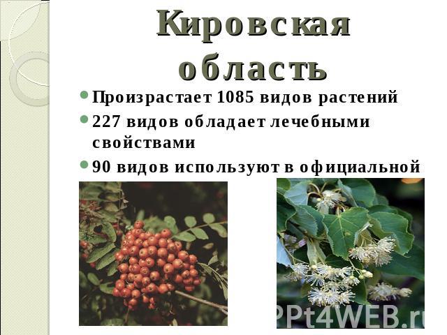 Кировская область Произрастает 1085 видов растений227 видов обладает лечебными свойствами90 видов используют в официальной медицине