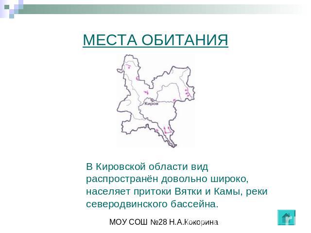 МЕСТА ОБИТАНИЯ В Кировской области вид распространён довольно широко, населяет притоки Вятки и Камы, реки северодвинского бассейна.