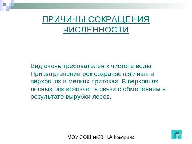 ПРИЧИНЫ СОКРАЩЕНИЯ ЧИСЛЕННОСТИ Вид очень требователен к чистоте воды. При загрязнении рек сохраняется лишь в верховьях и мелких притоках. В верховьях лесных рек исчезает в связи с обмелением в результате вырубки лесов.