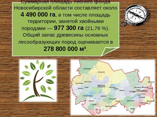 Суммарная площадь лесного фонда Новосибирской области составляет около 4 490 000 га, в том числе площадь территории, занятой хвойными породами — 977 300 га (21,76 %). Общий запас древесины основных лесообразующих пород оценивается в 278 800 000 м³.