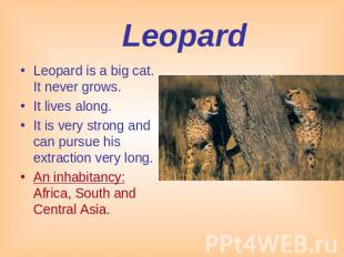Leopard Leopard is a big cat. It never grows. It lives along.It is very strong a