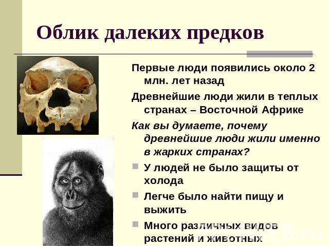 Облик далеких предков Первые люди появились около 2 млн. лет назадДревнейшие люди жили в теплых странах – Восточной АфрикеКак вы думаете, почему древнейшие люди жили именно в жарких странах?У людей не было защиты от холодаЛегче было найти пищу и выж…