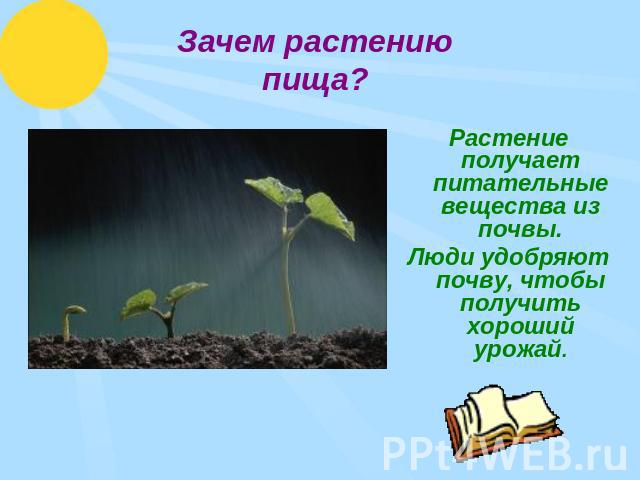 Зачем растению пища? Растение получает питательные вещества из почвы.Люди удобряют почву, чтобы получить хороший урожай.
