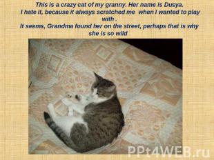 This is a crazy cat of my granny. Her name is Dusya. I hate it, because it alway