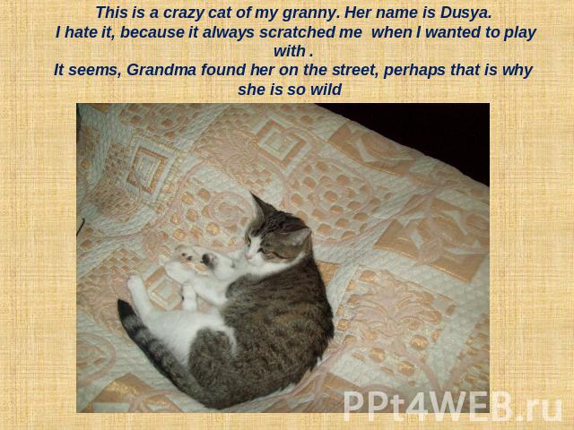 This is a crazy cat of my granny. Her name is Dusya. I hate it, because it always scratched me when I wanted to play with .It seems, Grandma found her on the street, perhaps that is why she is so wild