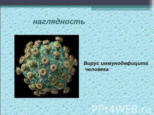 наглядностьВирус иммунодефицита человека