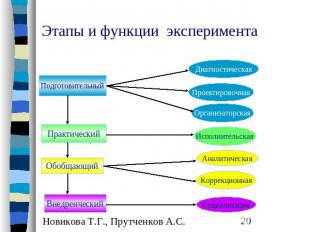 Этапы и функции эксперимента Новикова Т.Г., Прутченков А.С.