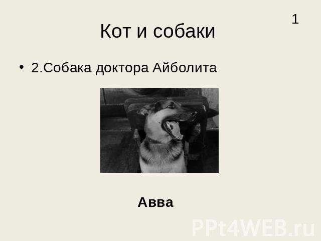 Кот и собаки 2.Собака доктора Айболита Авва