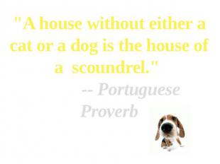 "A house without either a cat or a dog is the house of a  scoundrel."          