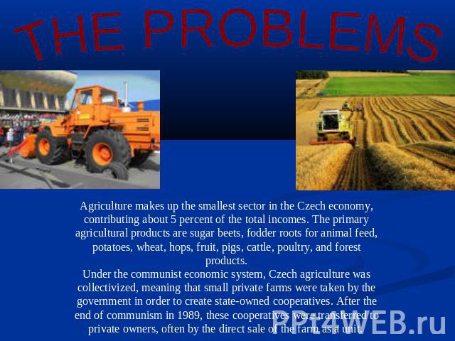 THE PROBLEMS Agriculture makes up the smallest sector in the Czech economy, contributing about 5 percent of the total incomes. The primary agricultural products are sugar beets, fodder roots for animal feed, potatoes, wheat, hops, fruit, pigs, cattl…