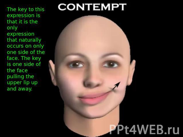 The key to this expression is that it is the only expression that naturally occurs on only one side of the face. The key is one side of the face pulling the upper lip up and away.