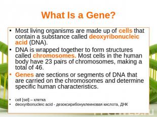 What Is a Gene? Most living organisms are made up of cells that contain a substa