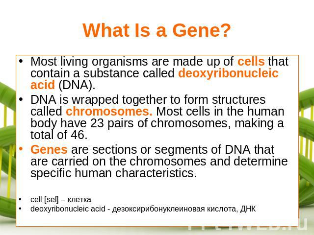 What Is a Gene? Most living organisms are made up of cells that contain a substance called deoxyribonucleic acid (DNA).DNA is wrapped together to form structures called chromosomes. Most cells in the human body have 23 pairs of chromosomes, making a…