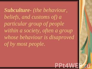Subculture- (the behaviour, beliefs, and customs of) a particular group of peopl