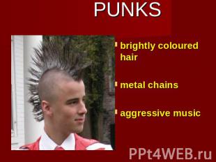 PUNKS brightly coloured hairmetal chainsaggressive music