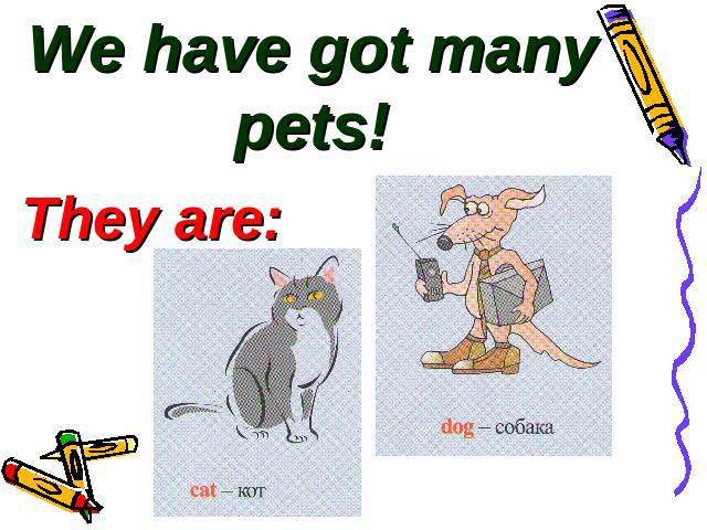 We have got many pets!They are: