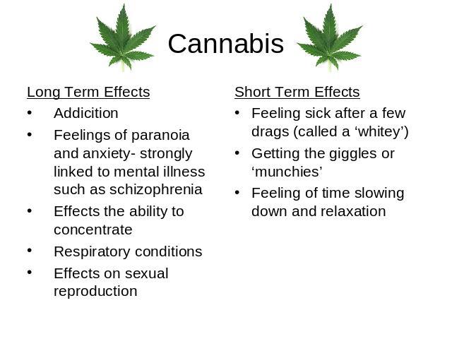 Cannabis Long Term EffectsAddicitionFeelings of paranoia and anxiety- strongly linked to mental illness such as schizophrenia Effects the ability to concentrate Respiratory conditionsEffects on sexual reproduction Short Term EffectsFeeling sick afte…