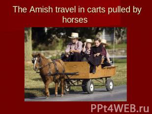 The Amish travel in carts pulled by horses