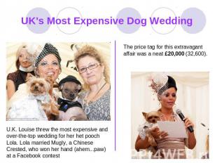 UK's Most Expensive Dog Wedding The price tag for this extravagant affair was a