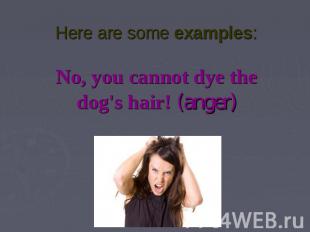Here are some examples:No, you cannot dye the dog's hair! (anger)