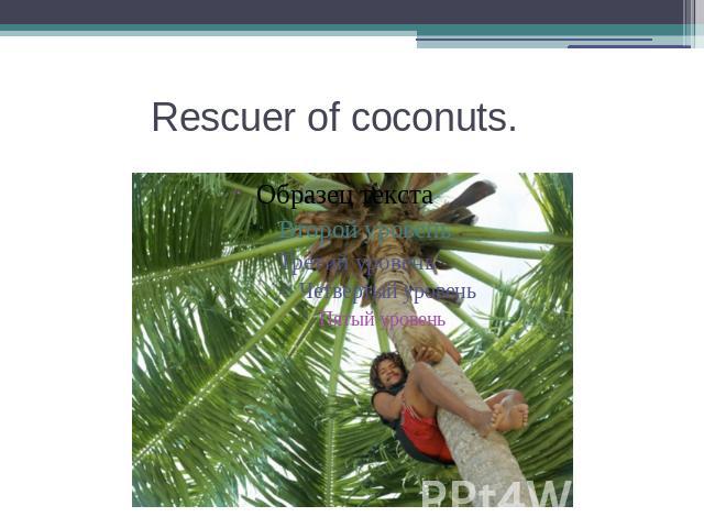 Rescuer of coconuts.