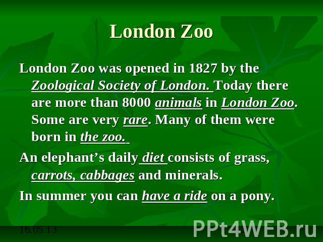 London Zoo London Zoo was opened in 1827 by the Zoological Society of London. Today there are more than 8000 animals in London Zoo. Some are very rare. Many of them were born in the zoo. An elephant’s daily diet consists of grass, carrots, cabbages …