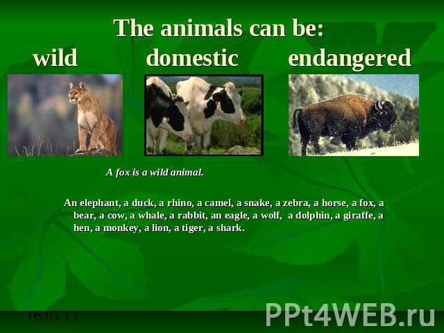The animals can be: wild domestic endangered A fox is a wild animal.An elephant, a duck, a rhino, a camel, a snake, a zebra, a horse, a fox, a bear, a cow, a whale, a rabbit, an eagle, a wolf, a dolphin, a giraffe, a hen, a monkey, a lion, a tiger, …