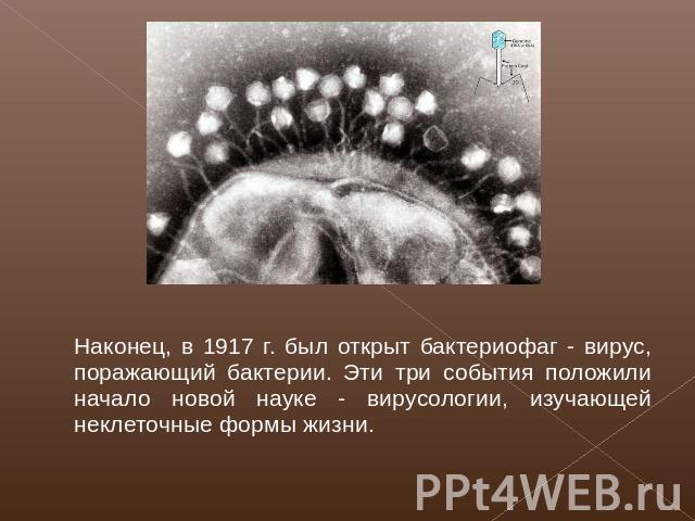 Наконец, в 1917 г. был открыт бактериофаг - вирус, поражающий бактерии. Эти три события положили начало новой науке - вирусологии, изучающей неклеточные формы жизни.