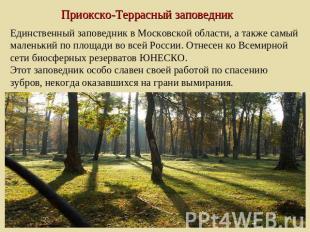 Приокско-Террасный заповедник Единственный заповедник в Московской области, а та