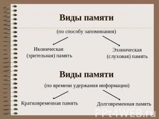 Виды памяти (по способу запоминания) Иконическая (зрительная) память Эхоническая