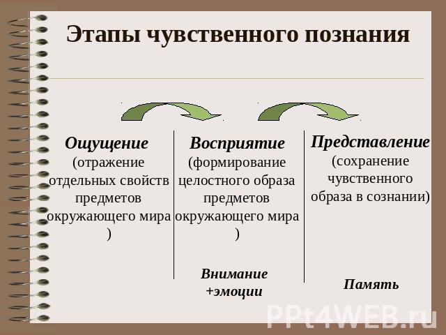 Этапы чувственного познания Ощущение (отражение отдельных свойств предметов окружающего мира) Восприятие(формирование целостного образа предметов окружающего мира) Внимание+эмоцииПредставление(сохранение чувственного образа в сознании) Память