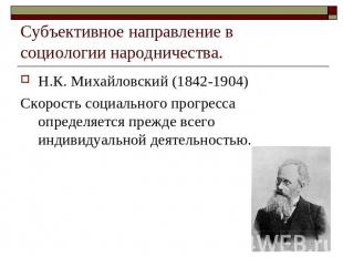 Субъективное направление в социологии народничества. Н.К. Михайловский (1842-190
