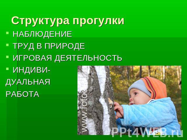 Структура прогулки НАБЛЮДЕНИЕТРУД В ПРИРОДЕИГРОВАЯ ДЕЯТЕЛЬНОСТЬИНДИВИ-ДУАЛЬНАЯ РАБОТА