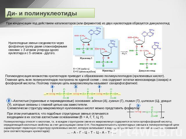 Ди- и полинуклеотиды При конденсации под действием катализаторов (или ферментов) из двух нуклеотидов образуется динуклеотид: Нуклеотидные звенья соединяются через фосфатную группу двумя сложноэфирными связями: с 3'-атомом углерода одного нуклеотида …