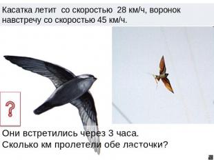 Касатка летит со скоростью 28 км/ч, воронок навстречу со скоростью 45 км/ч. Они